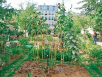 <strong>20 novembre</strong> – Des jardinier.e.s “partagé.e.s” entre discours et pratiques : Du lien social à l’entre-soi