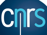 <strong>avant le 1er décembre </strong> – Demande de soutien des candidatures CNRS au CERLIS