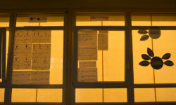 <strong>Le 12 juin </strong> – Séminaire du GRREP autour de “Nouveaux regards historiques sur l’éducation populaire ?”