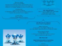 <strong>Le 28 juin </strong> – Journée des doctorants du département de Sciences de l’Éducation