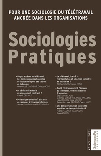 <strong> Avant le 4 février 2022 </strong> – Appel à articles pour la revue “Sociologies Pratiques” sur les déviances et les fautes au travail
