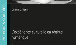 L’Expérience culturelle en régime numérique